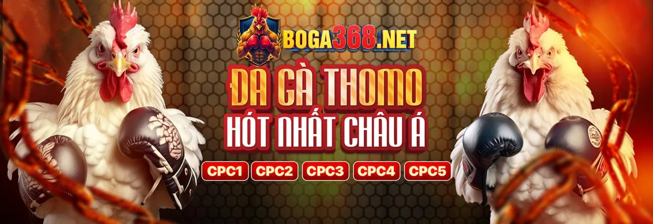 Đá Gà Trực Tuyến rubik88 code